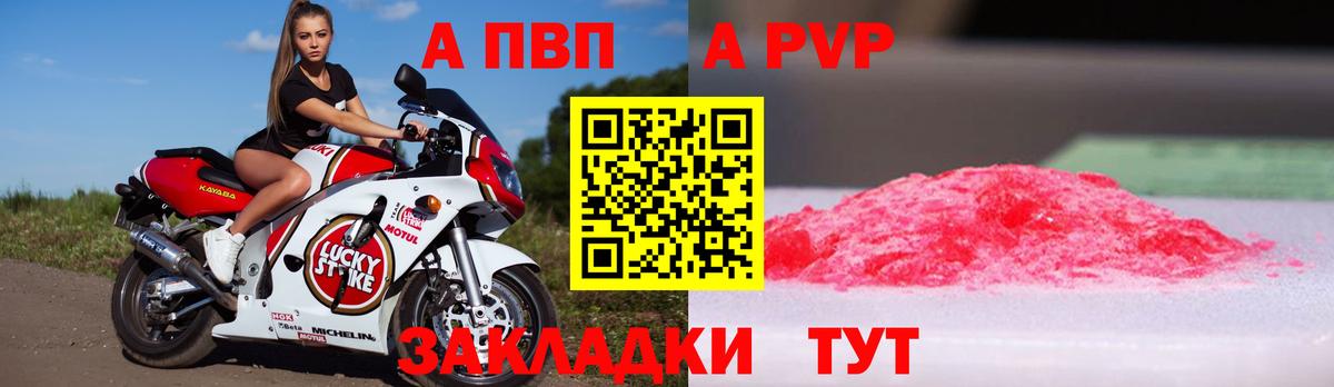 Alfa_PVP СК Ухта
