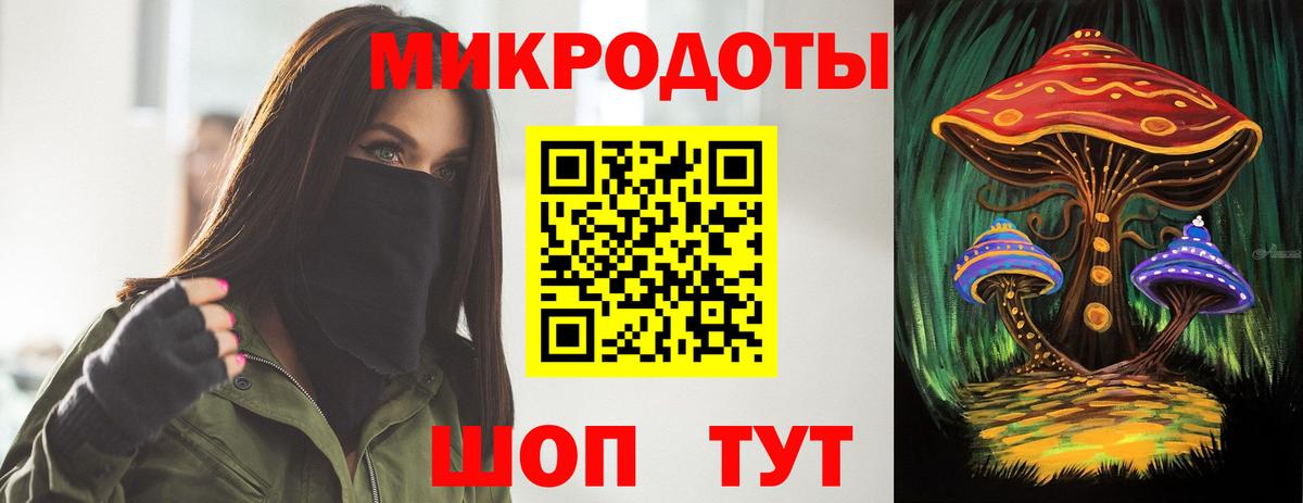 Галлюциногенные грибы Psilocybine cubensis Ухта